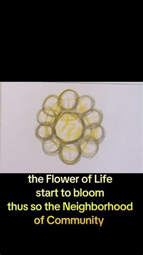 #Formats of Life Illustration.#52 Nocturnal Illustration.#12 Play of Light.