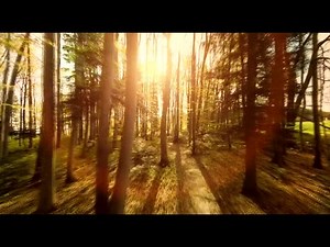 44 reactions | The heart of a devotee calls- ‘Sanvra Mhari..,’. Watch the wonderful collection of songs in this DVD and fill your heart. #RvkProducts | RVK Products | Facebook