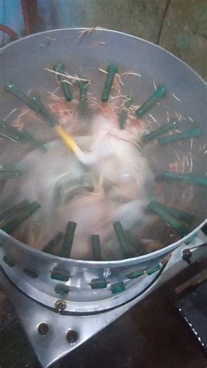 chicken cleaning machine 🐔🍗chicken cleaning work