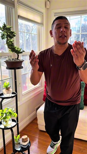 The tiered plant shelf fits snugly in corners! 15-min assembly & rock-solid stability. Perfect indoor plant stand for compact spaces #HomeDecor #plantlover #plantstand #SmartDesign #tiktokshopcreatorpicks