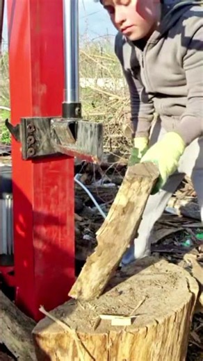 Vertical Log Splitter #logsplitter #firewood
