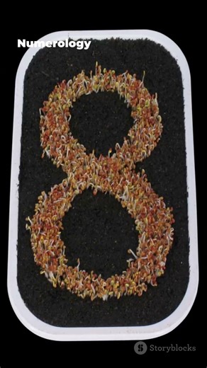 Number 8 is calling you to greatness #numerology #transformation #legacy