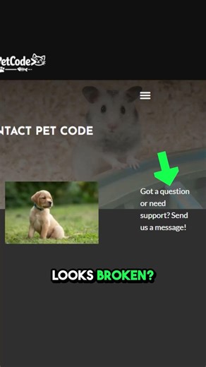 Hidden Elementor Cache Fix!