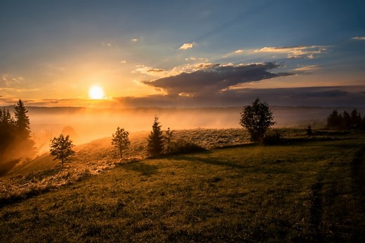 5 ways to tackle greenwashing, according to UN experts
