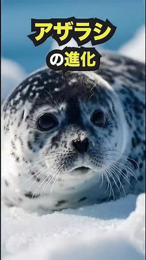 アザラシの進化 #生き物 #歴史 #自然 #科学 #水族館 #animals