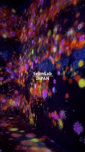 teamLab borderless Tokyo Japan 🇯🇵 チームラボボーダレス（麻布台ヒルズ） #teamlab #traveljapan #japantravel #japan