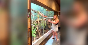 You’d Never Expect To See This Amazing Find In A Public Restroom!