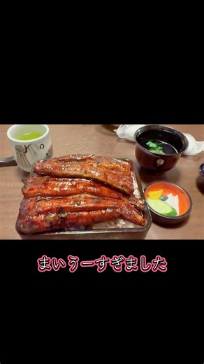 埼玉県三郷市川魚根本うなぎの名店#川魚根本 #うな重 #三郷市グルメ#野田市の上島竜兵#野田市非公認