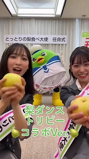 なんとこの度‼️ #akb48 が #とっとりの梨食べ大使 に任命されました😲本日 #小栗有以 と 山内瑞葵 が任命式に出席させていただきました💁‍♀️レッスンの合間やおうち時間でたくさん #梨 をいただいてるんですよ〜💚 #どえらいダンス #トリピー #梨ダンス #梨梨梨梨 🍐🍐🍐🍐