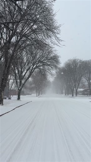 ☃️☃️☃️ Snow Has Started to Fall! Please stay safe on roads, sidewalks, and walking paths. Take it slow and watch for icy spots! Our sanding and salt trucks are out to keep streets manageable as the snow continues. With more snow in the forecast over the next 24 hours, we're monitoring road conditions and will be providing regular updates on snow clearing. ❄ Stay Informed During Winter Operations * Subscribe to email alerts at brandon.ca/subscribe and select: • Street Maintenance for snow clearin