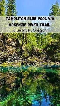 Don't miss hiking to this stunning Blue Pool in Blue River, Oregon - People swim here as well!