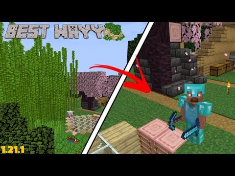 HOW EARN MONEY 🤑 BY BAMBOO 🎍 IN ANY SMP | MINECRAFT SMP GAMEPLAY JAVA EDITION 1.21.1