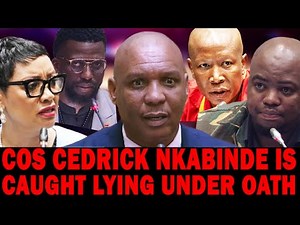 Senzo Mchunu's Chief of Staff Caught Lying in Parliament| MPs Throw Out His Whole Testimony| Ad Hoc