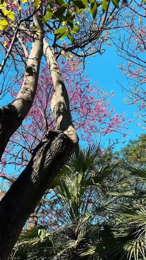 New countries, new vlogs 🌻☀️ STAY TUNED!!! #travel #europe #summer