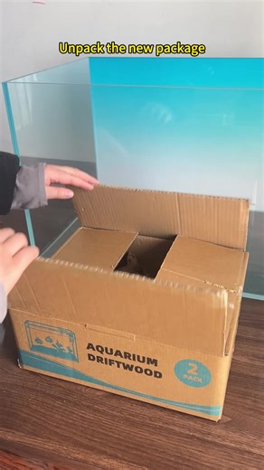 How to Treat New Wood for Aquariums and Aquascapes