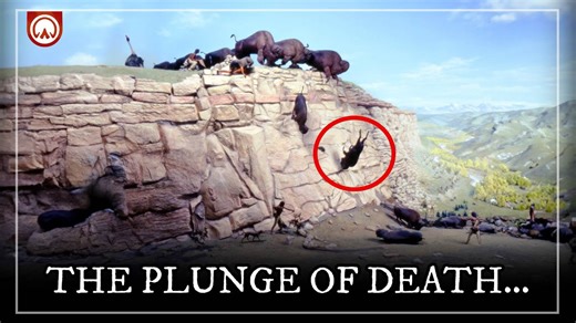 The moment hundreds of buffalo started falling off cliffs