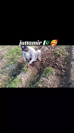 Amir Amir jutt (@amir.amir.jutt1)’s videos with original sound - A.J MODEL MAKER.1