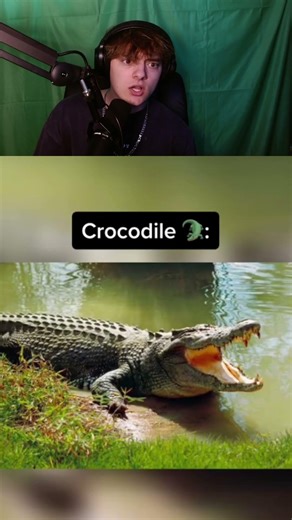 FINISH this SOUND 🏁