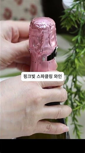 [공구중] 무알콜 스파클링 와인 리무스 로사토 드라이 논알콜 와인(~1/30)