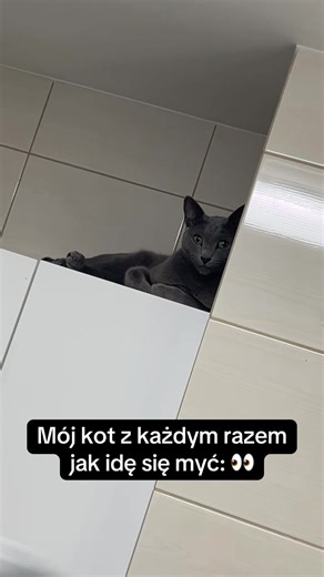 Jak mój kot reaguje na moje kąpiele