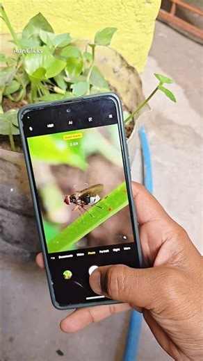 Every Detail Matters 📸 | Macro Shot