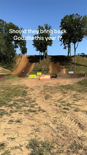 Godzilla's Return: Should It Happen This Year?