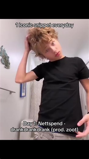 snippets hall of fame sur TikTok