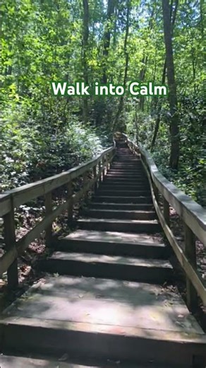 🌲Walk Into Calm 🌿 Asheville North Carolina Forest Path | Nature Meditation