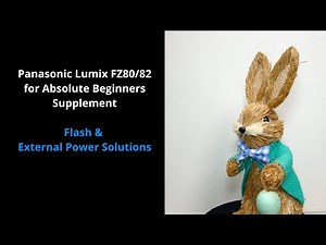 Panasonic Lumix FZ80/82 For Absolute Beginners: Supplement