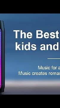 HWWR Karaoke Machine with 2 Wireless Microphones Review, Loud, fun and so many features