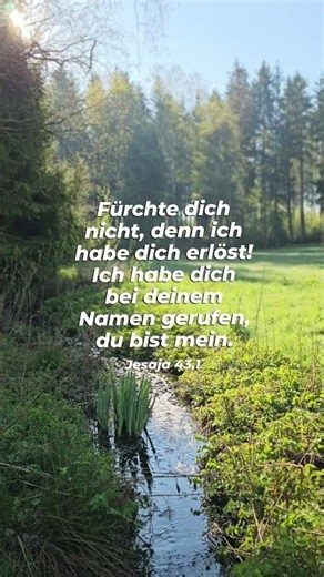 Fürchte dich nicht 🙏❤️🦁