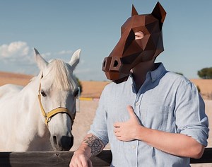 Horse Mask, Donkey Mask | DIY Paper Mask, Printable Template, Papercraft, 3D Mask, Polygon, Low Poly, Geometric, Costume, Pattern, Download - Etsy