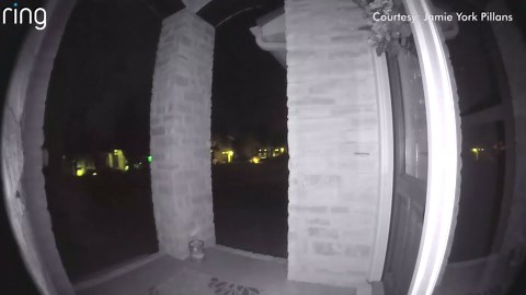 Tarantula seen crawling over Ring camera in northwest Austin