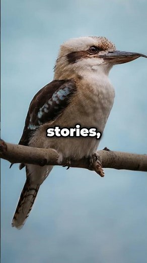 Folktale: The Tale of Tiddalik the Frog