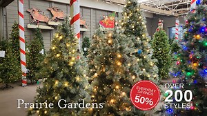 22 reactions | It’s tree time!  From slim to full, flocked to traditional — discover your perfect Artificial Christmas Tree with help from our experts. The best selection, the best guarantee, and all the Christmas magic you could ask for. AT PRAIRIE GARDENS Springfield & Duncan, Champaign www.prairiegardens.com | Prairie Gardens | Facebook