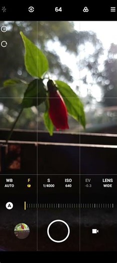 how to use pro mode and click a best photo# poco m4 pro me#video#photography video