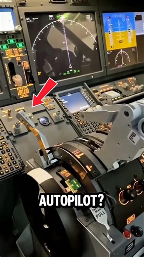 Why Do Airplanes Have Autopilot? #Aviation #Facts
