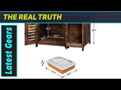 Amazing Cat Villa! The Ultimate Indoor Cat House?