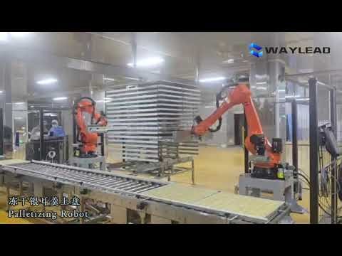Automatic Plate Placing Robot Freeze Dryer Packaging machine