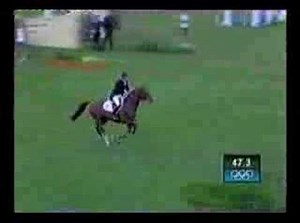 Arko -No 1 Showjumping stallion FEI WBFSH 2005 & 2006