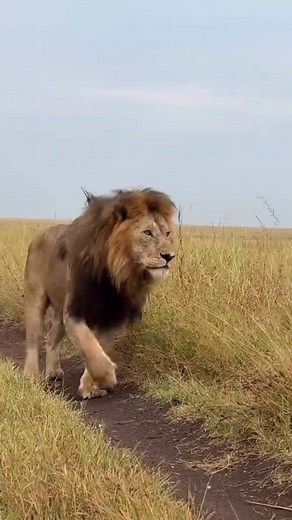 Zanzibar & Tanzania: Safari, Beaches & Relaxation