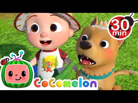 I Love the Mountains | Cocomelon | Learning Videos For Kids | Education Show For Toddlers