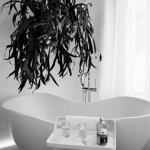 Best Bathtub Scrubber Reviews 2021 - (Electric, Battery, and Manual)