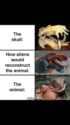 "From Terrifying Skull to Chonky Cutie: Hippo vs. Aliens" #animalmemes #viralshorts