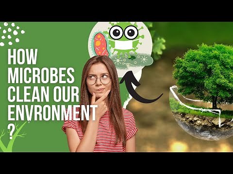 How Genetically Modified Microorganisms Revolutionized Environmental Healing in Bioremediation