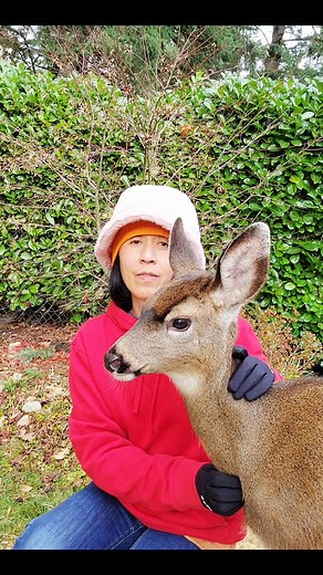Dino is an orphan Deer. This is how I take care of her lol. | Ester P Bick