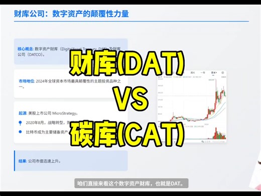 从财库(DAT)逻辑看碳库(CAT)
