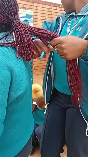 Bro además de que tú pelo no tiene ni la quinta que ver con como estudias está el tema lugar donde vives, marico en países caribeños el pelo común ES EL PELO CRESPO, pelo con el que es más común usar estas trenzas y/o peinados más a lo afroEN MI PAIS REPÚBLICA DOMINICANA un país caribeño, UNA ISLA nos mandaban a PLANCHAR nuestro pelo o a tenerlo recogido CON GELATINA u otros tratamientos que hiciera parecer que tenemos pelo lacio, solo y únicamente porque para los directores que te ignoraban si 