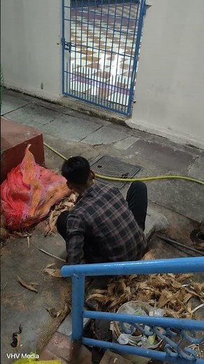 How to Clean Coconut Shells (and Tips for Using Them)