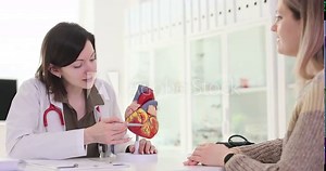 Woman doctor explains heart anatomy to female patient. Brunette cardiologist demonstrates medical concepts to blonde lady at appointment in clinical setting